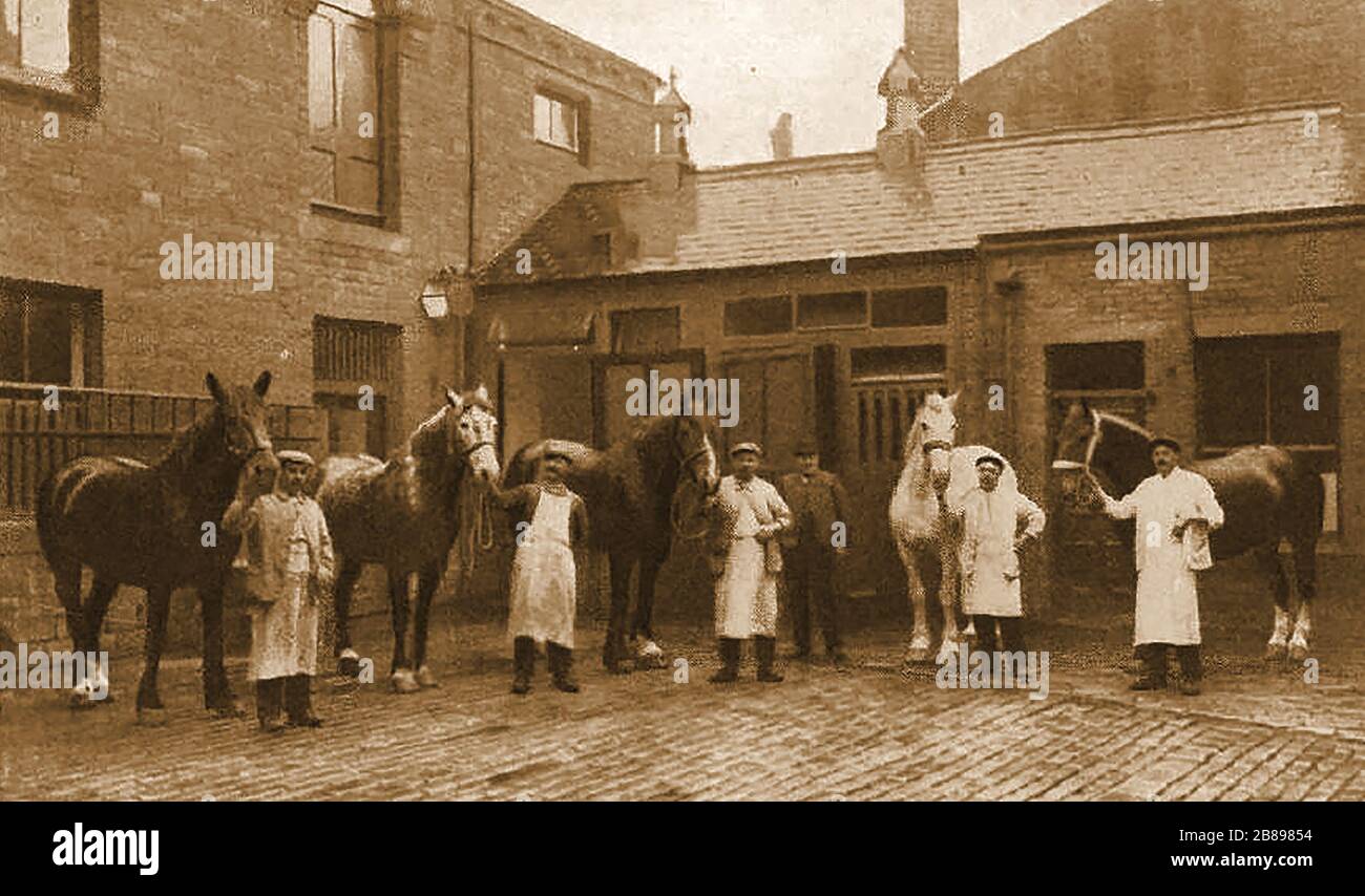 Huddersfield Industrial Society - An early photograph of the society's stable yard, horses  and staff Stock Photo