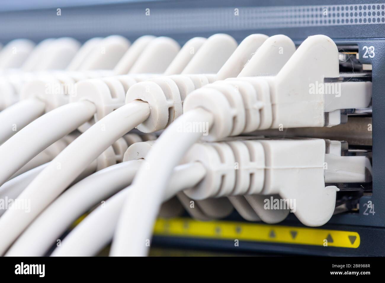 cables connected to the Network Switch in office Stock Photo