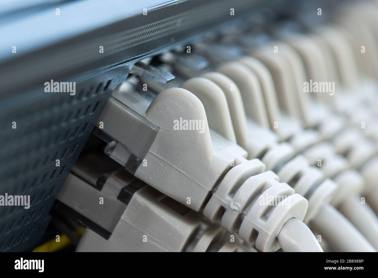 cables connected to the Network Switch in office Stock Photo