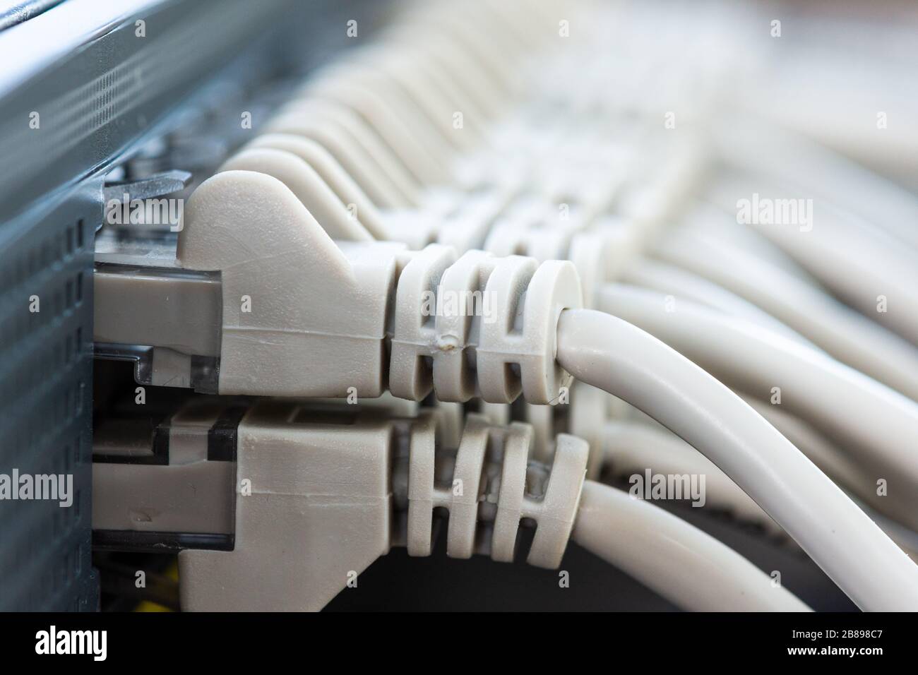 cables connected to the Network Switch in office Stock Photo