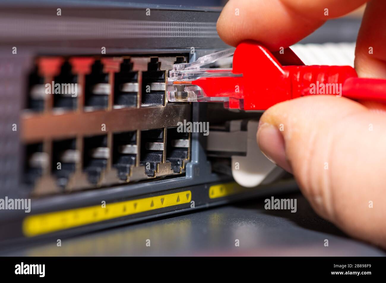 cables connected to the Network Switch in office Stock Photo