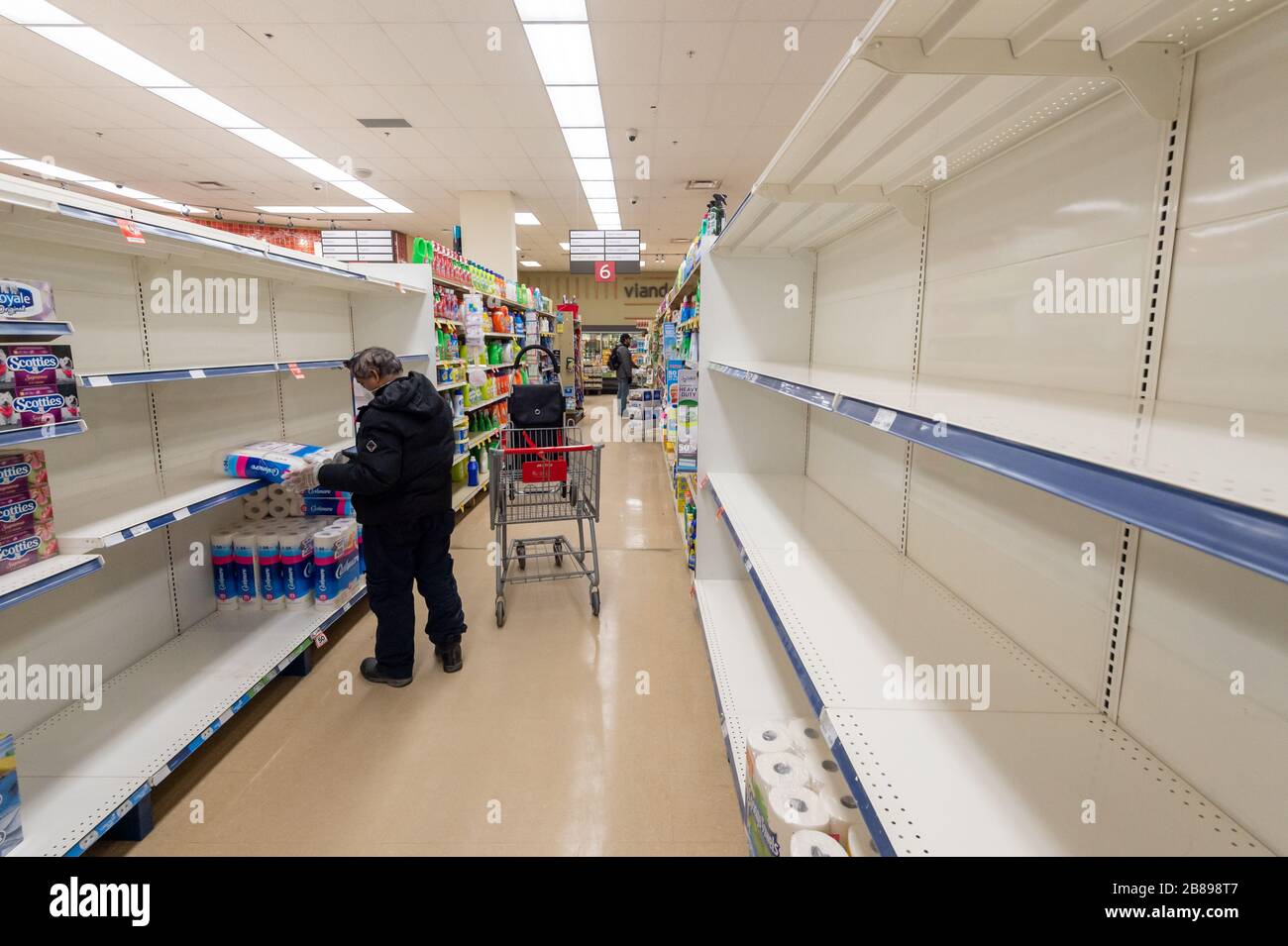 Montreal, CA - 20 March 2020: Empty shelves of toilet paper in a supermarket. Shortage of supplies due to panic of Coronavirus. Stock Photo