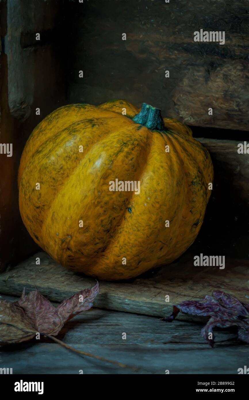Pumpkin, painterly photograph Stock Photo