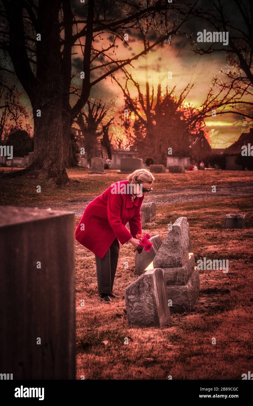 Placing flowers on grave site in cemetery Stock Photo Alamy