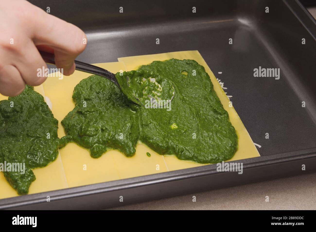 Putting Spinach Sauce on Raw Lasagne Pasta in Baking Sheet Stock Photo