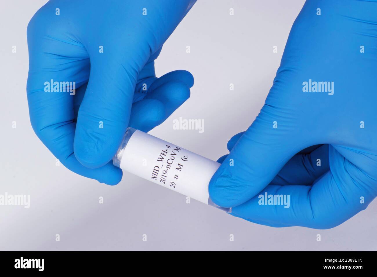 Coronavirus test held between two blue gloved hands up close Stock Photo