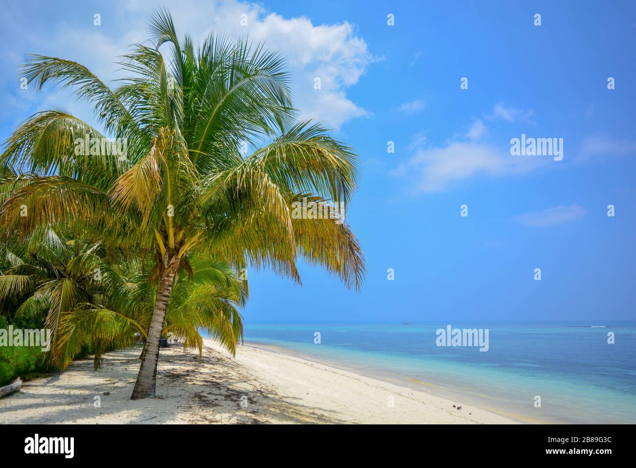 Dream beach: turquoise transparent ocean, pure white sand, light blue sky with clouds, glorius palm trees, green coconuts. Exotic heaven background Stock Photo