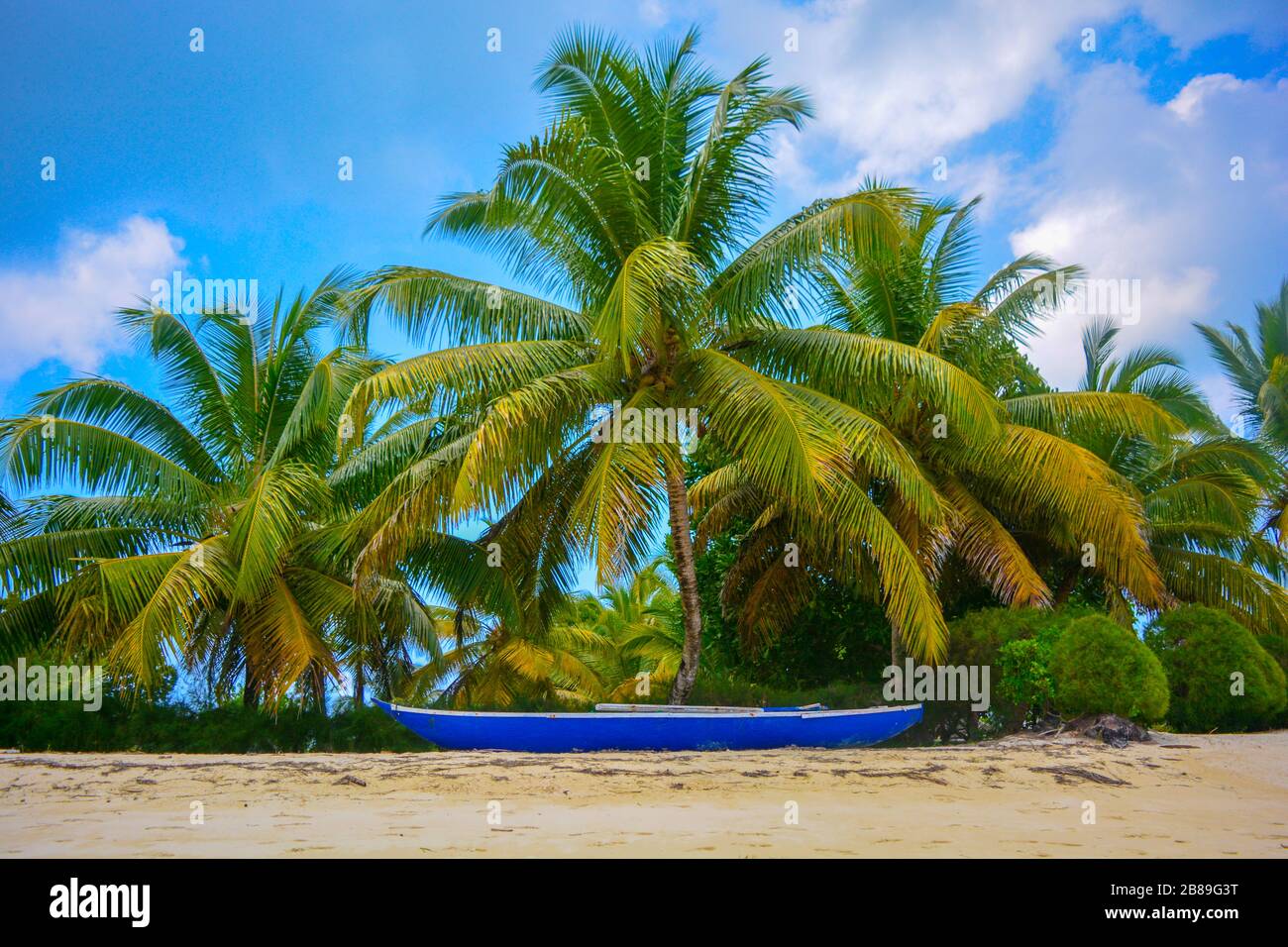 Wonderful scene of tropical paradise: white sand beach, blue wooden pirogue and in the back rich, lushy palm trees under a blue sky. Exotic nature Stock Photo