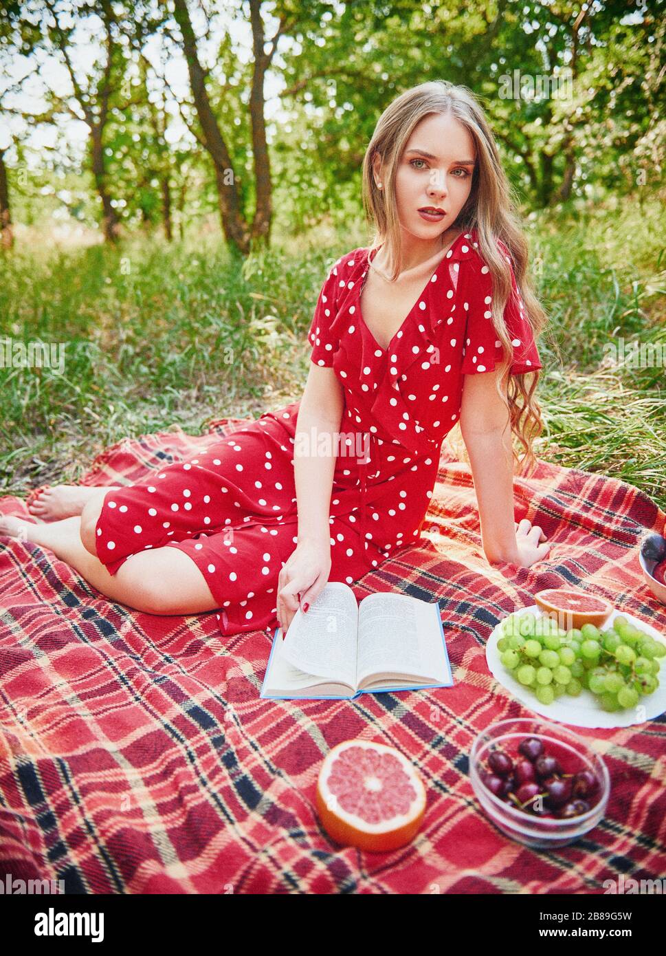 Picnic scene: cute girl sitting on a plaid and reading book in grove. Outdoor portrait of beautiful young woman in red dress. Effect of vintage film w Stock Photo