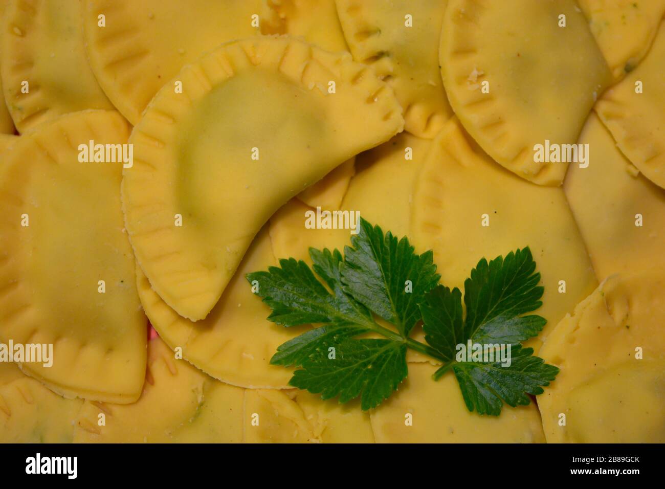 A delicious closeup of italian Ravioli (dumplings). Gastronomical specialty from Italy, pasta dish like tortelli with filling, parsley decoration Stock Photo
