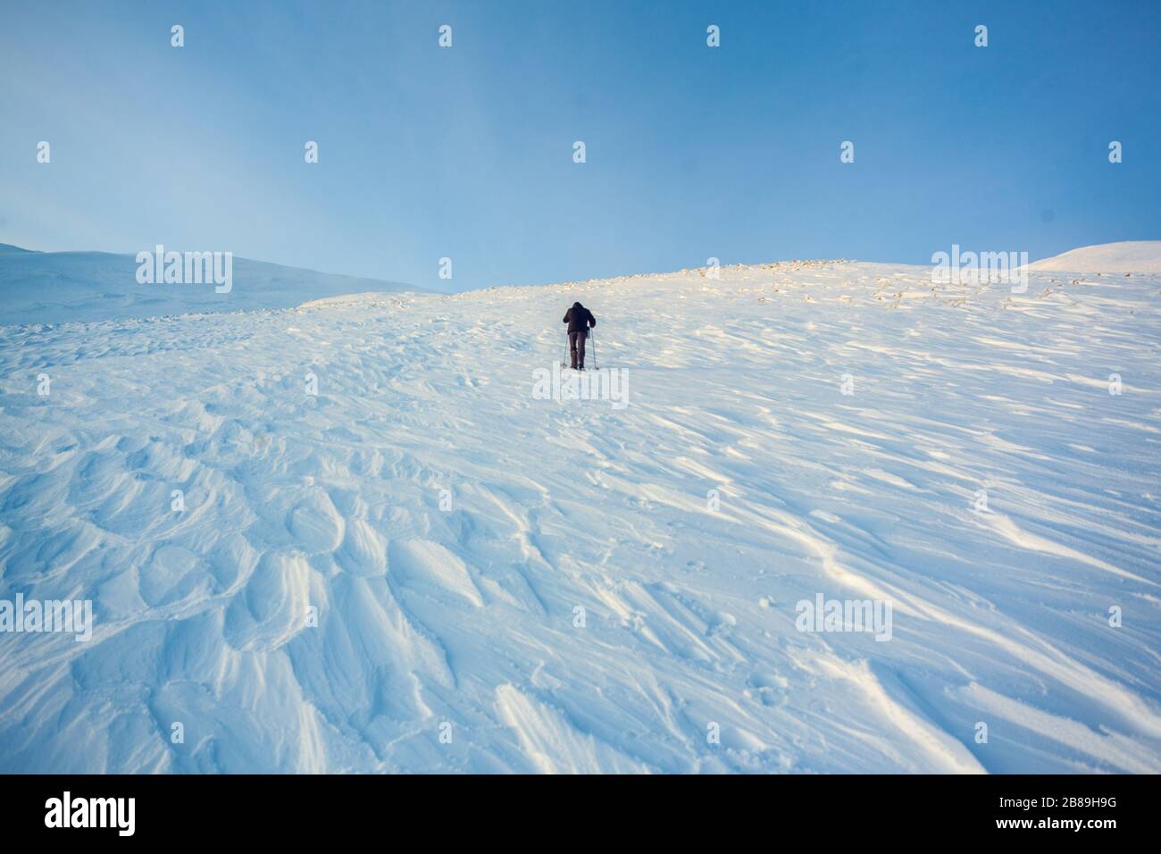 Tourist in the wild. Snow storm, despair. Lost his way. Ural winter la Stock Photo