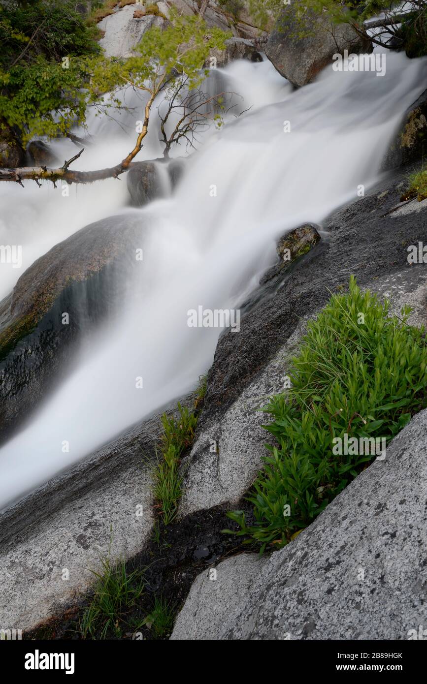 Intimate landscape of spring run-off in Bells Canyon Wasatch Mountains Stock Photo