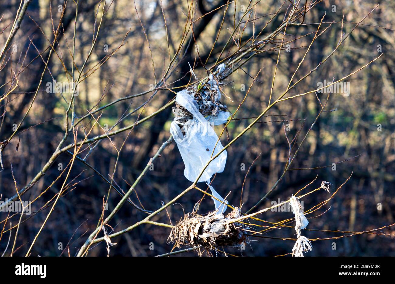 Plastic bag tree hires stock photography and images Alamy