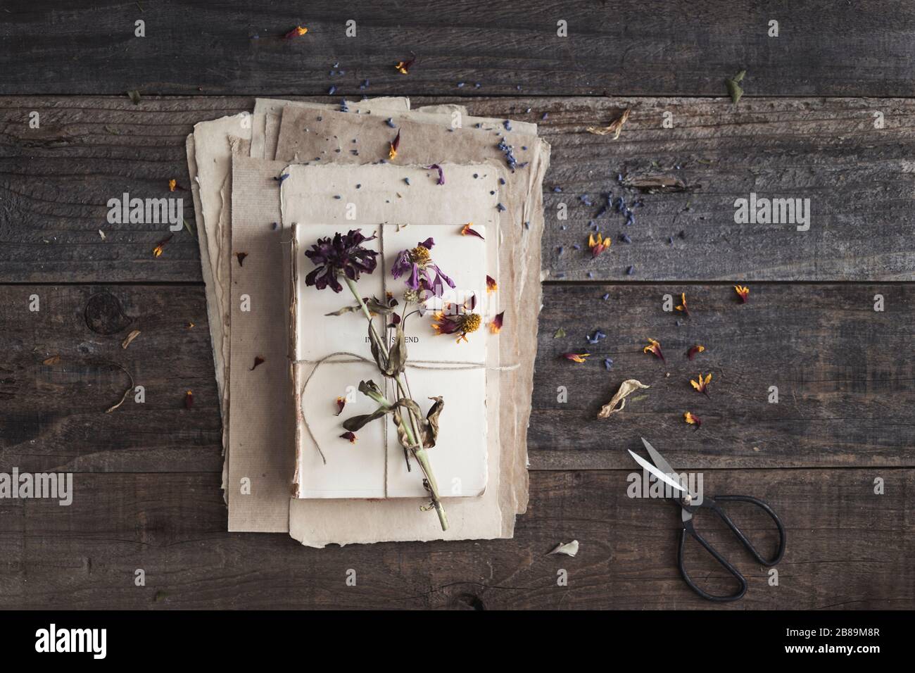 paper and book layers with scattered dried flowers, petals and scissor Stock Photo