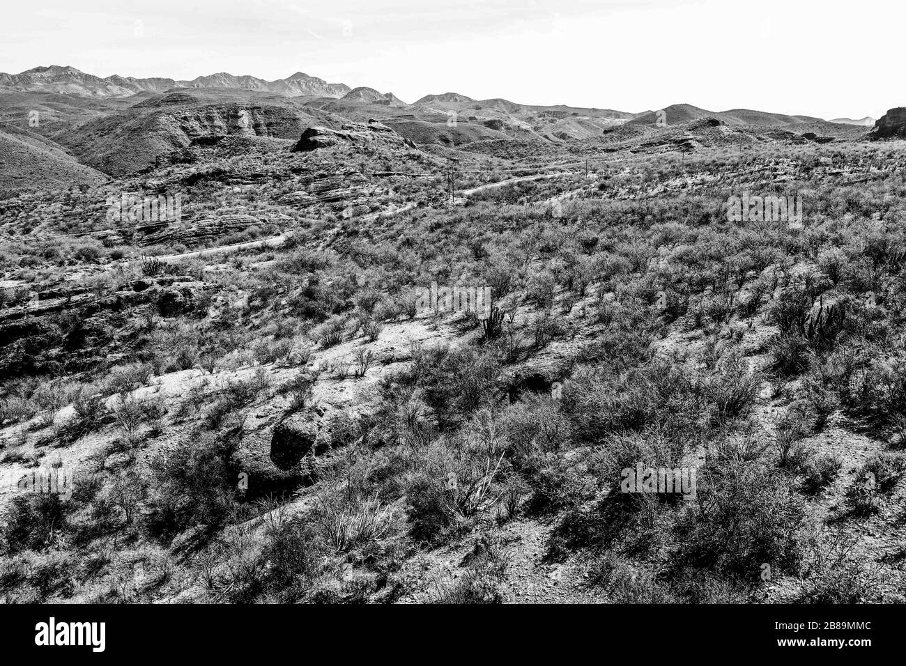 Aerial view of landscape, Sierra de Arizpe, Sonora, Mexico. March 2020