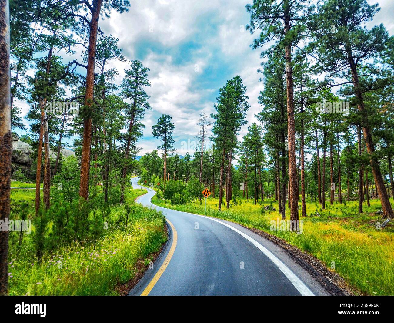 winding road through Yellowstone National Park Stock Photo