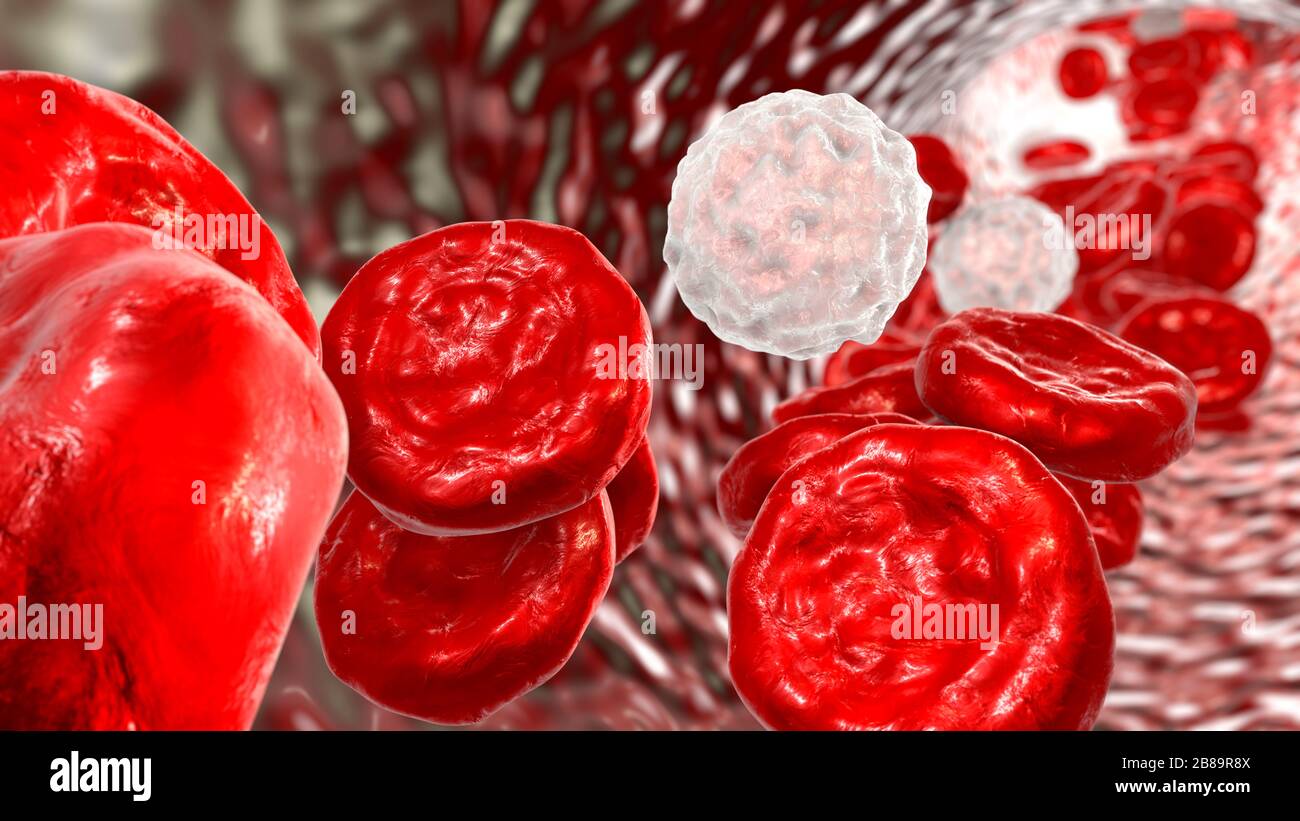 Blood cells, illustration Stock Photo