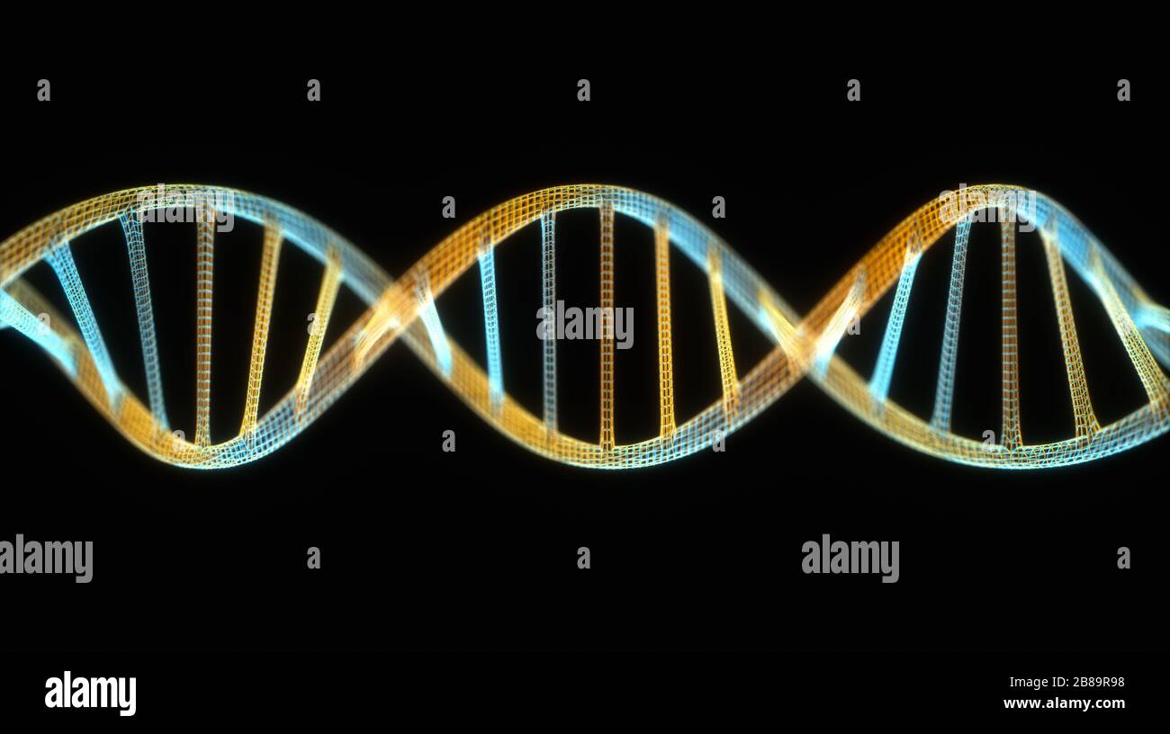 DNA molecule, illustration Stock Photo