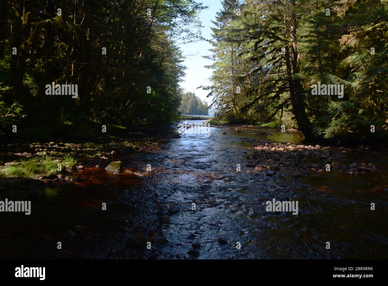 A salmon river system entering the Pacific Ocean on King Island in the Great Bear Rainforest on the central coast of British Columbia, Canada. Stock Photo