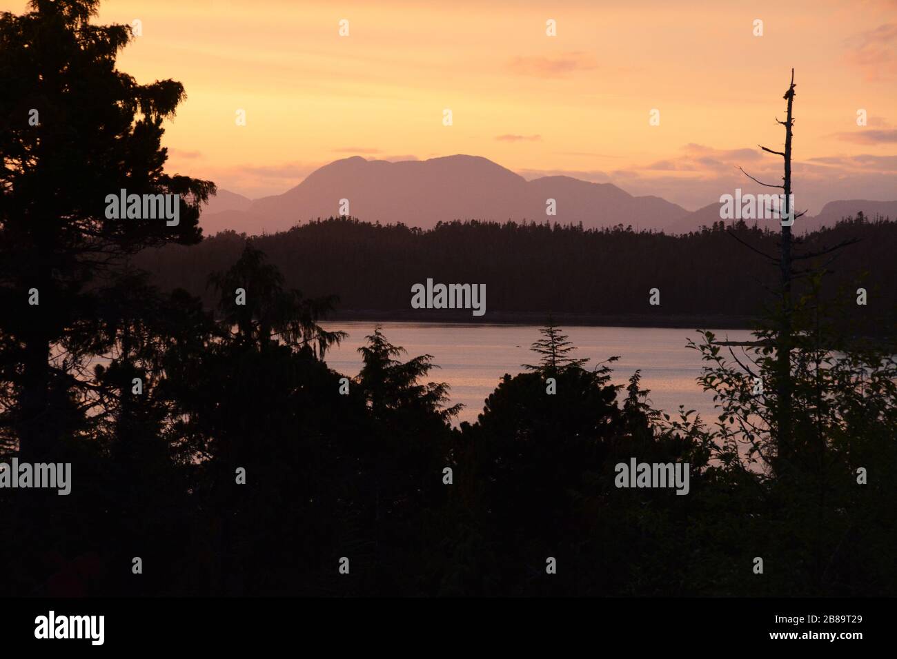 A colourful sunset on the Pacific shores of the Great Bear Rainforest in Heiltsuk First Nation Territory, British Columbia, Canada. Stock Photo