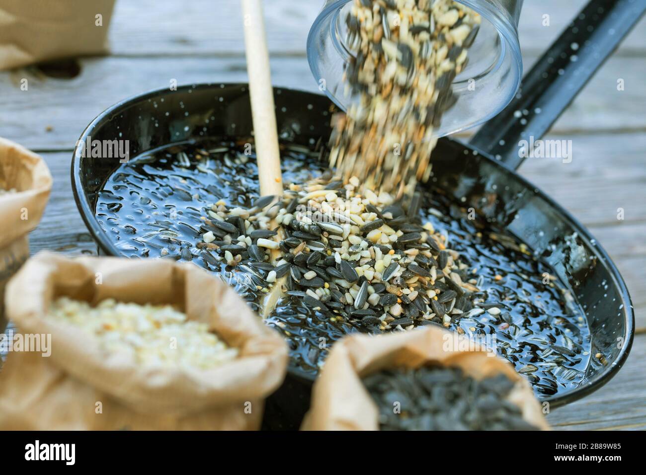 Homemade fat fodder, ingredients: hardened coconut oil, sunflower seeds, peanuts, seed mix and sunflower oil was melted and seed mix added, Germany Stock Photo