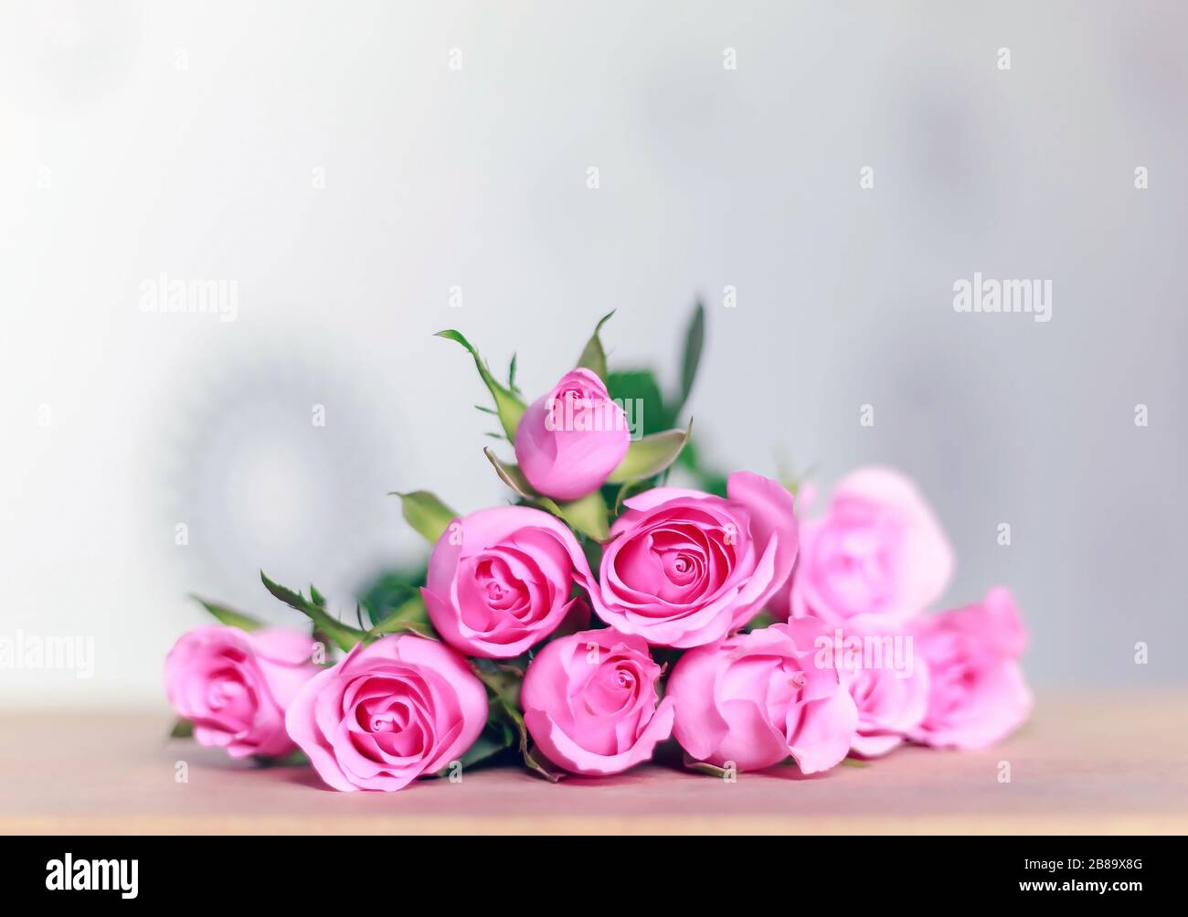 Pink blooming roses Stock Photo - Alamy