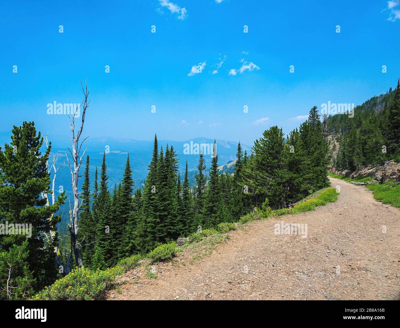 Wildflowers side of mountain hi-res stock photography and images - Alamy