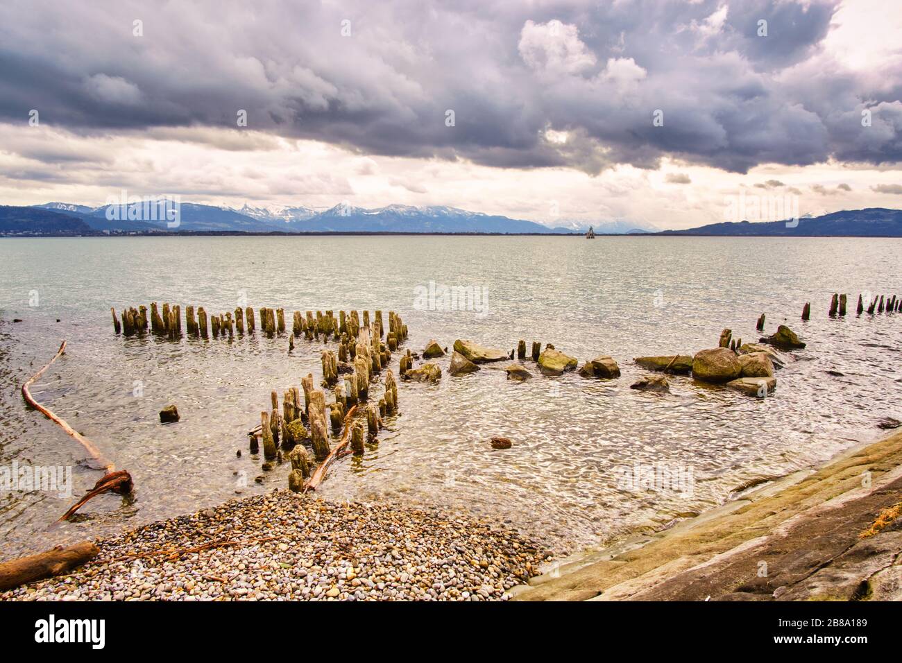 Wooden posts protrude from the water on the lakeshore Stock Photo - Alamy