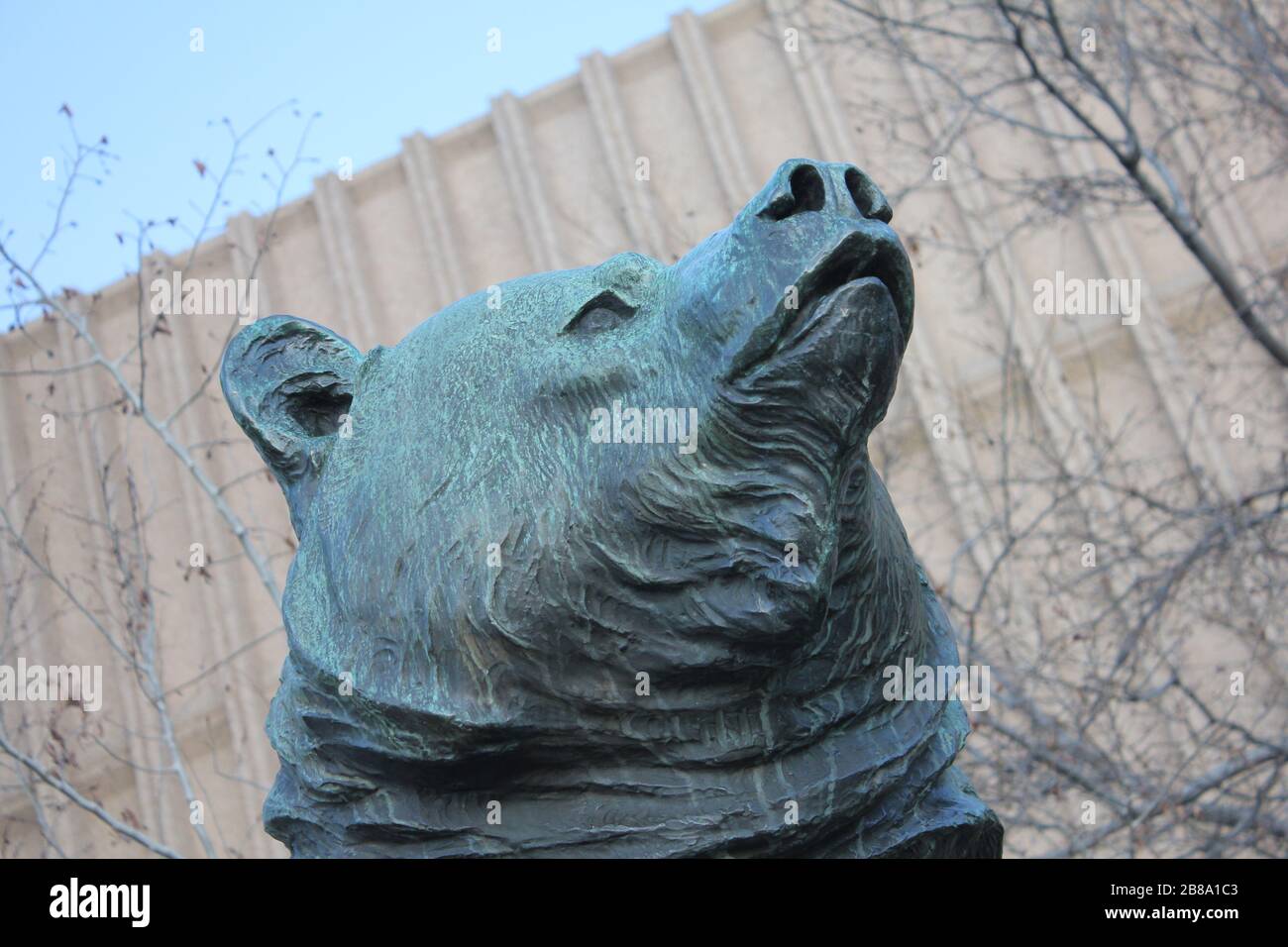 Grizzly Bear Sculpture at Denver Colorado Museum of Nature and Science
