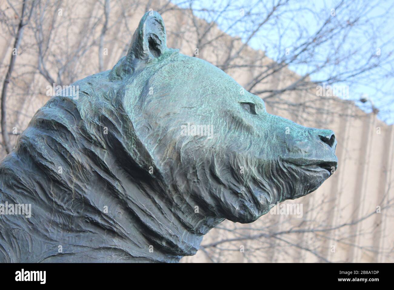 Grizzly Bear Sculpture at Denver Colorado Museum of Nature and Science
