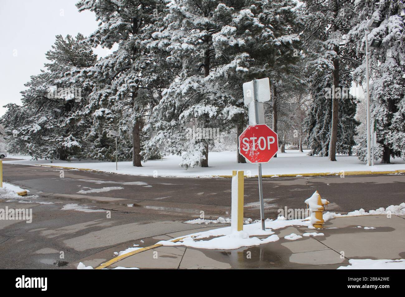 Stop Sign, Denver, Colorado Stock Photo Alamy