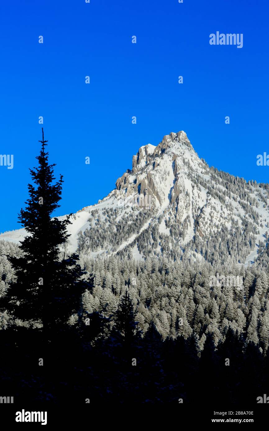 ross peak in the bridger range in winter near bozeman, montana Stock Photo