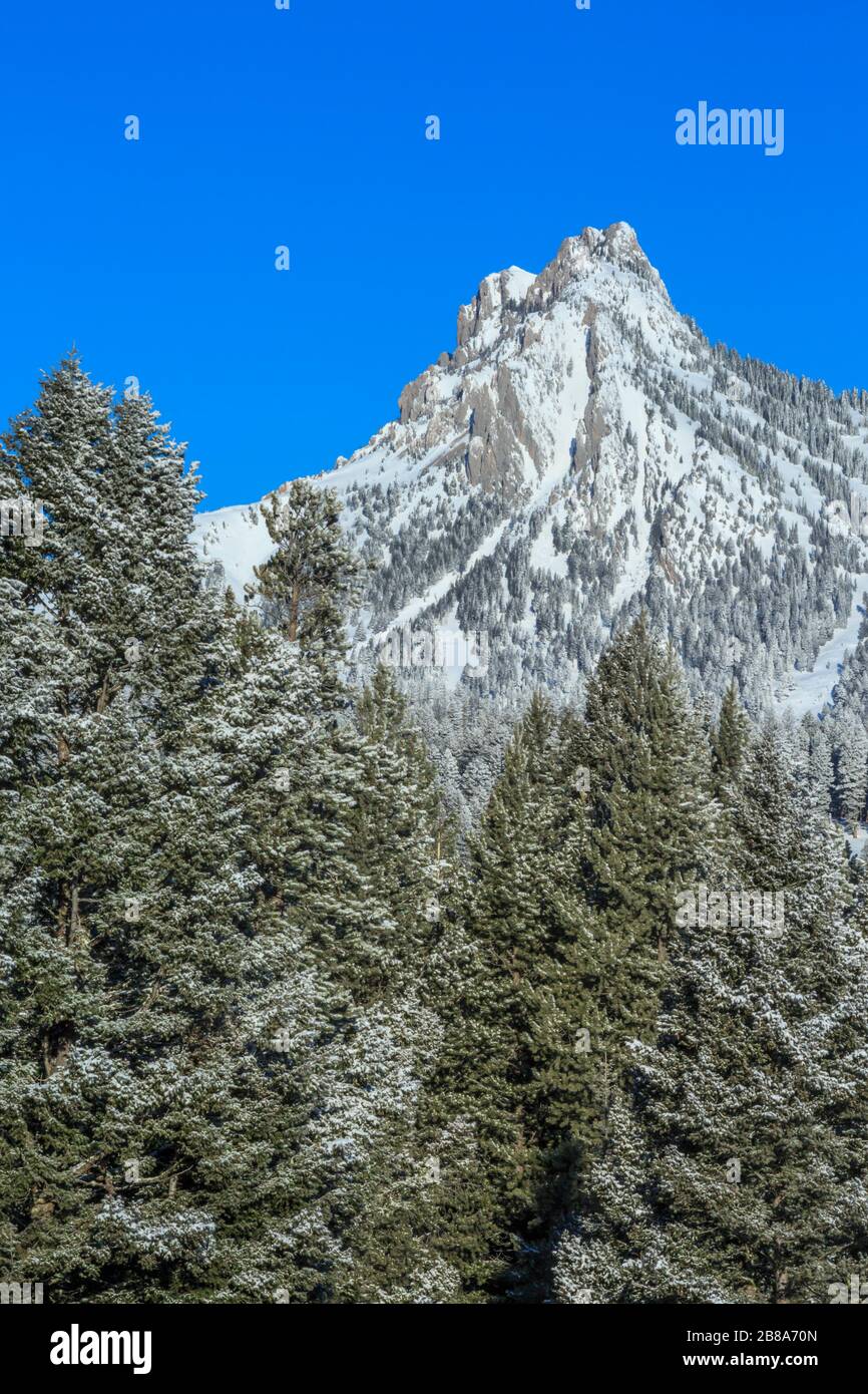 ross peak in the bridger range in winter near bozeman, montana Stock Photo