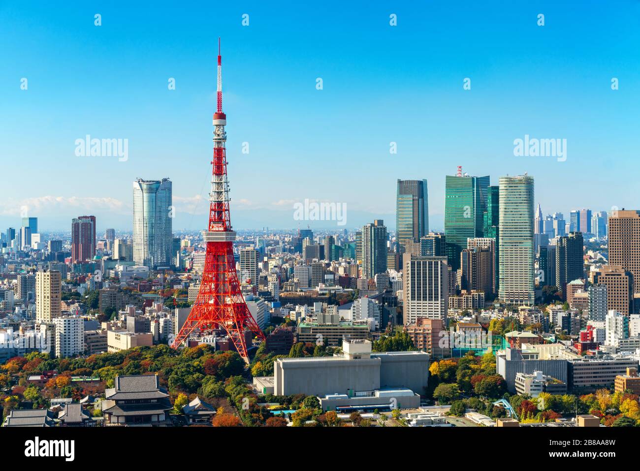 Tokyo tower, Japan. Tokyo City Skyline. Asia, Japan famous tourist destination. Aerial view of Tokyo tower. Japanese central business district, downto Stock Photo