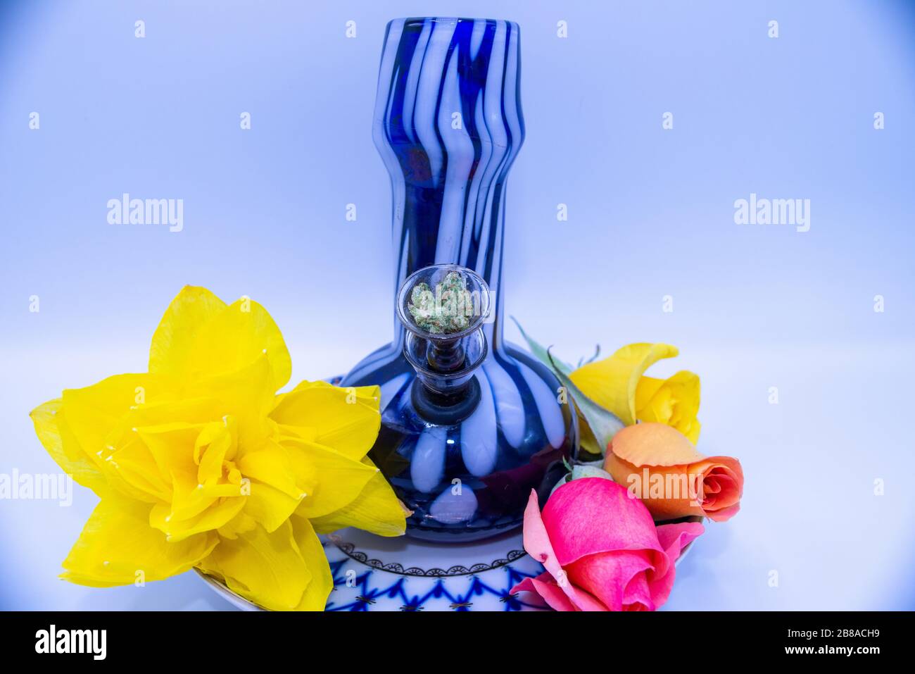 Medical Marijuana CBD Dispensary Website Magazine Flower Stock Photo