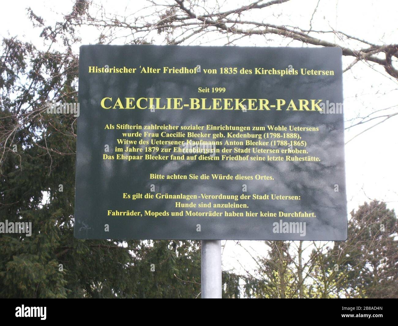 Hunde Wikipedia