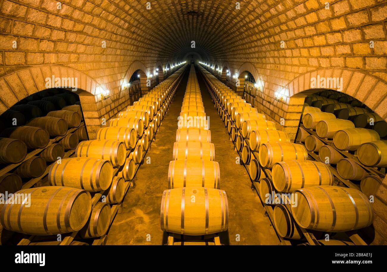 Wine barrels stacked in the cellar of the winery Stock Photo - Alamy