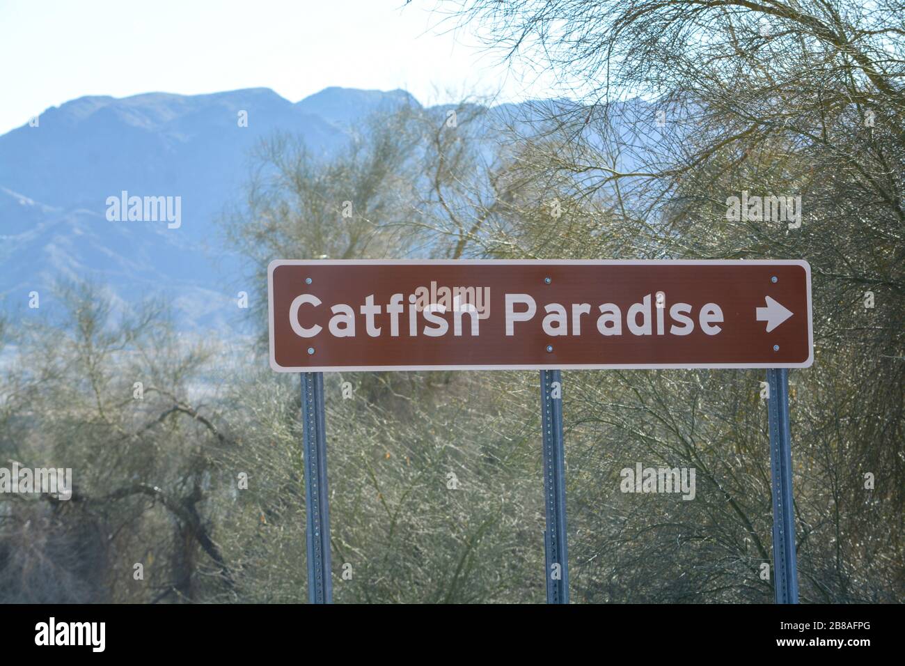 Catfish paradise sign hires stock photography and images Alamy