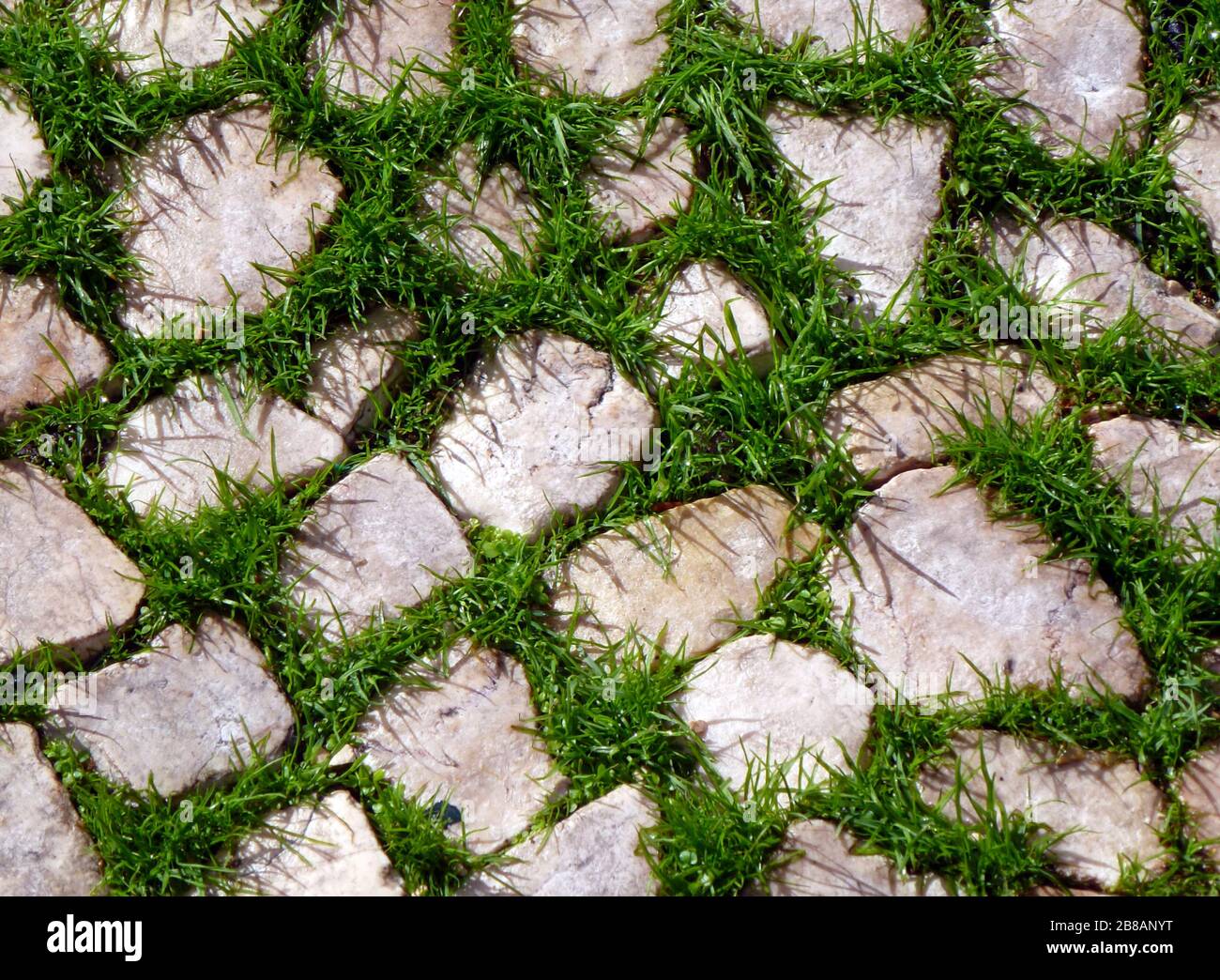 Lawn garden stone path hires stock photography and images Alamy
