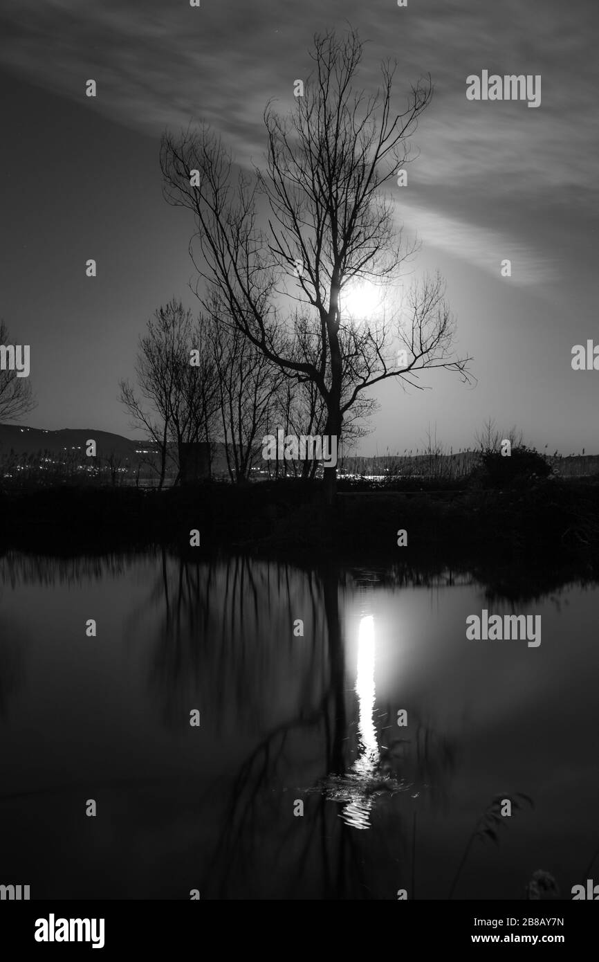 Moon and trees reflecting on the Trasimeno lake surface at night Stock Photo