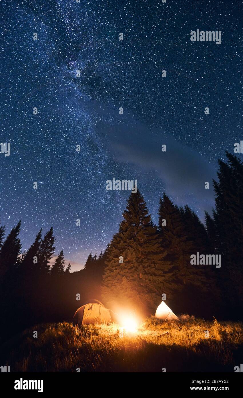 Bright night sky is strewn with stars and Milky Way. Silhouettes of ...
