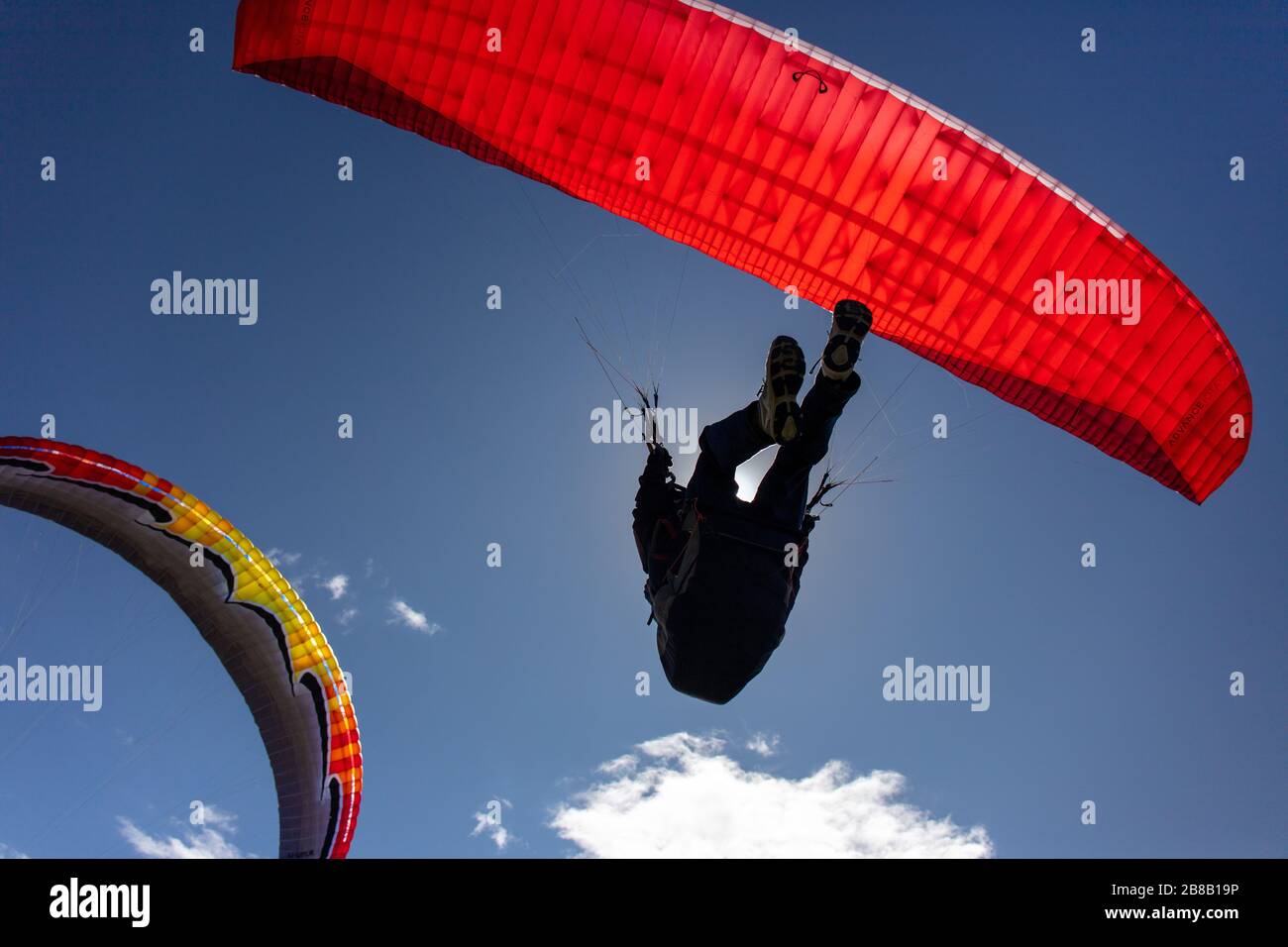 Paraglider silhouette Stock Photo