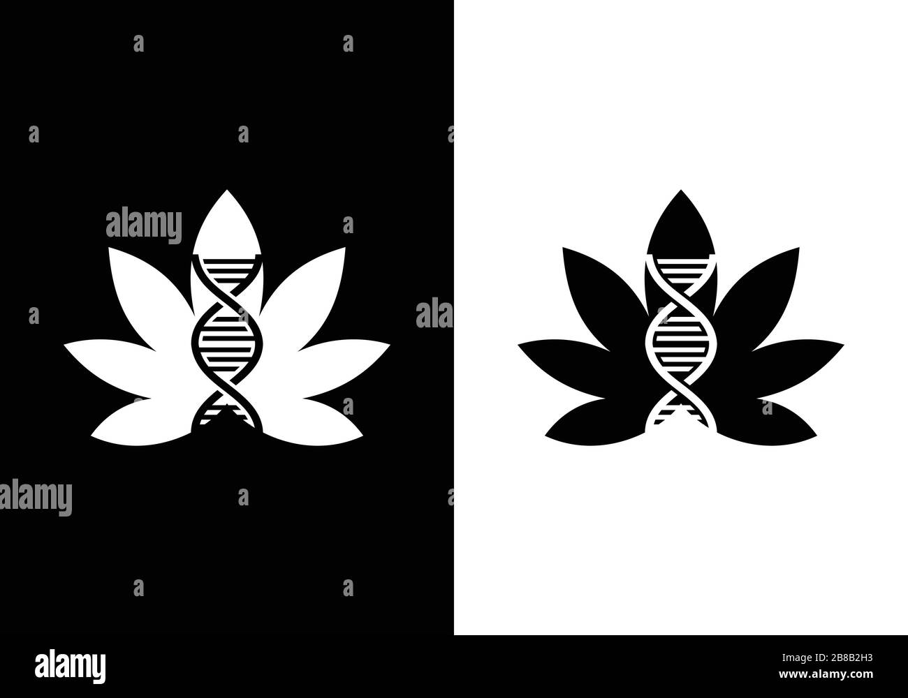 cannabis leaf logo vector icon on black and white background Stock ...