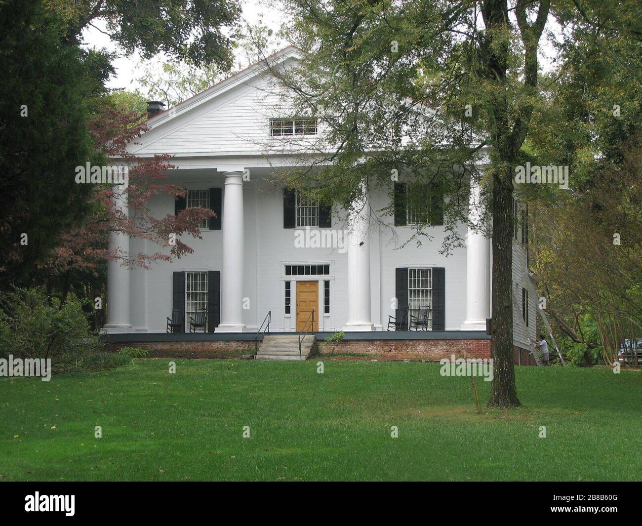 Martha roosevelt hi-res stock photography and images - Alamy