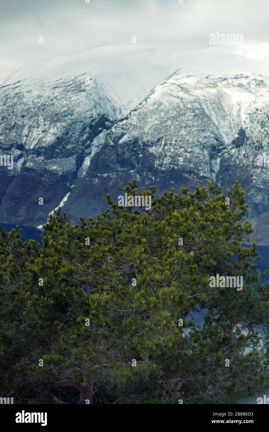 View of an Aurlandsfjord in Norway. Stock Photo