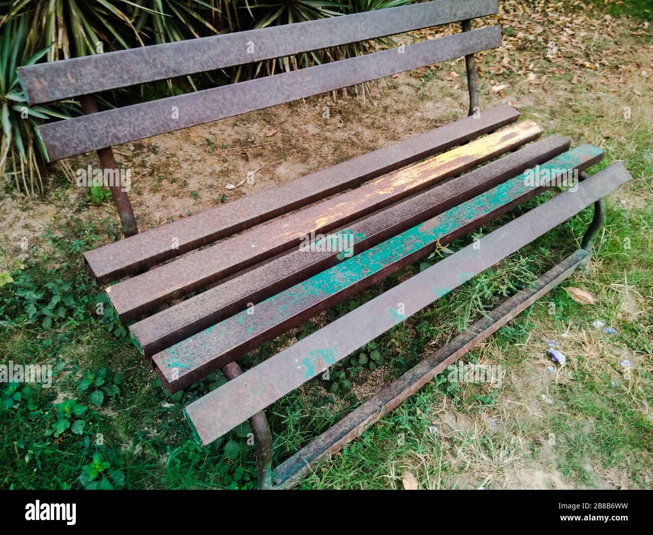 Beautiful garden area green hi-res stock photography and images - Alamy