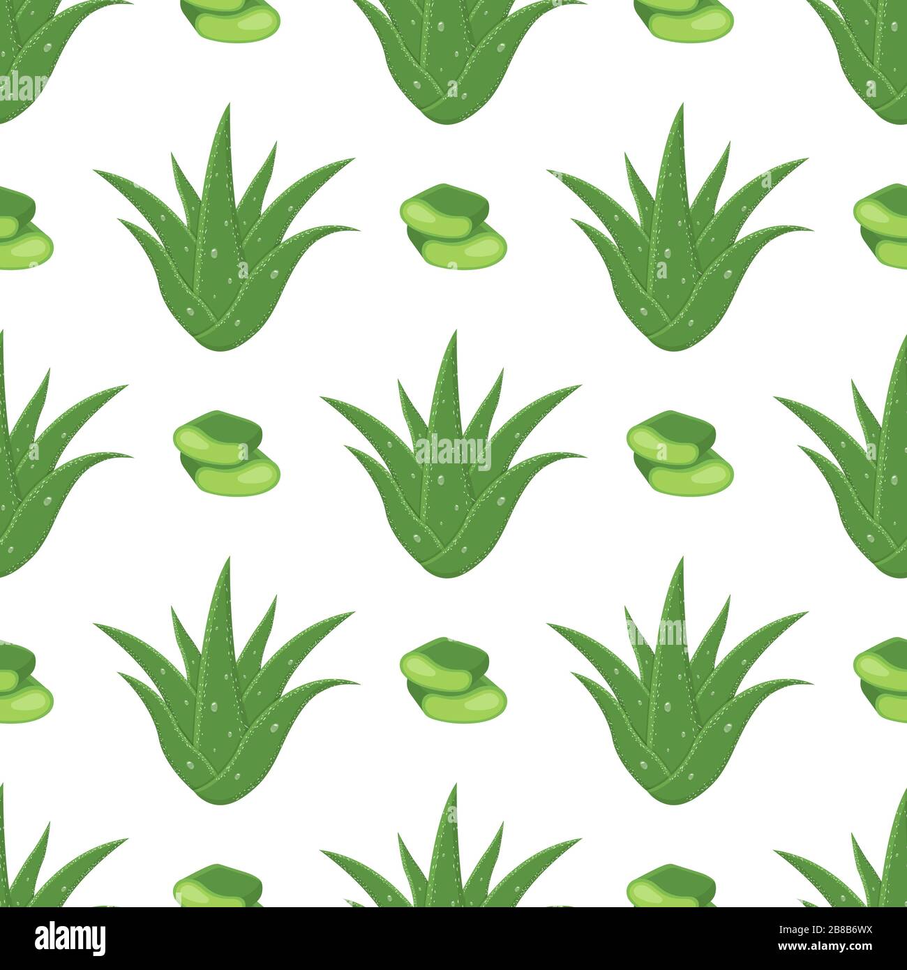 Seamless pattern with aloe vera medicinal plant cut leaves isolated on  white background. Cartoon style. Vector illustration for any design Stock  Vector Image & Art - Alamy