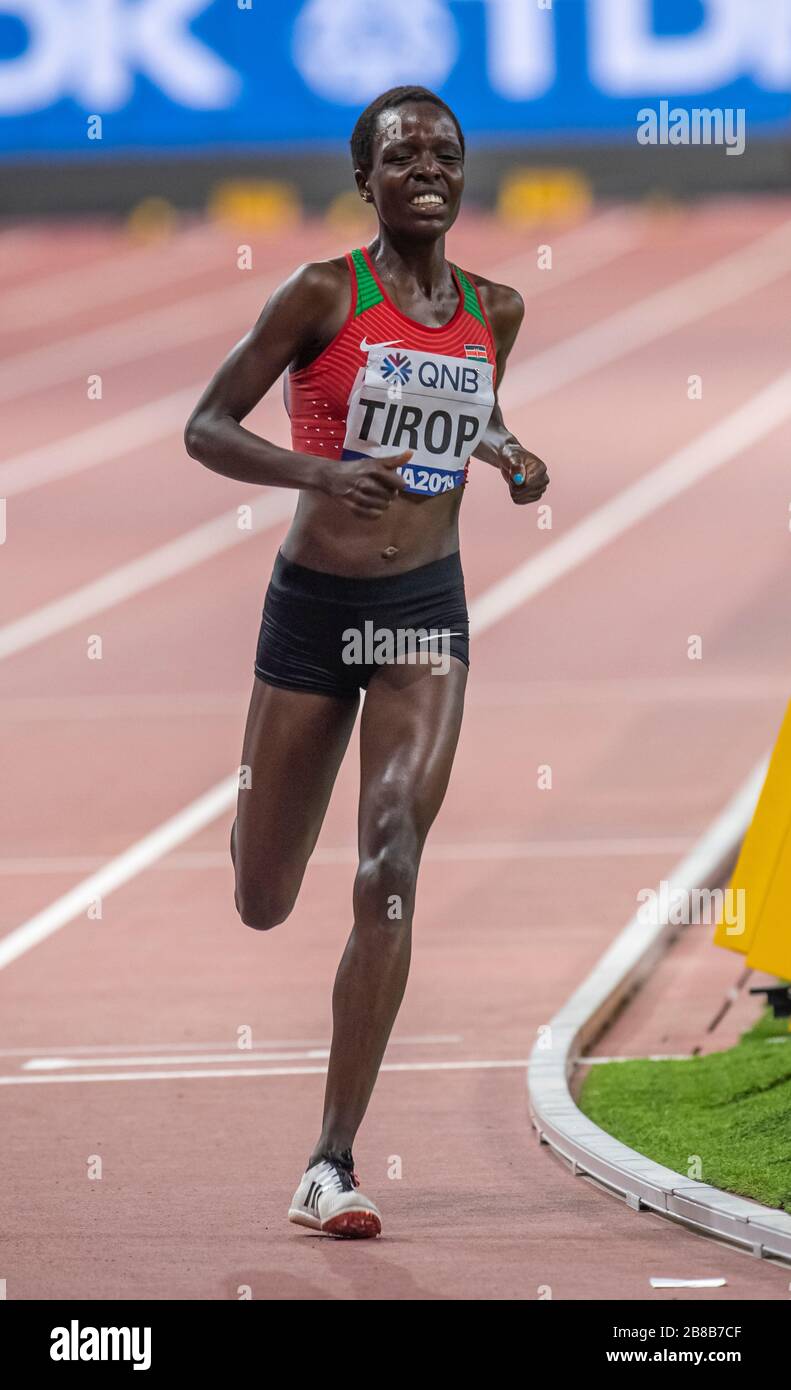 Doha Qatar Sep 28 Agnes Jebet Tirop Ken Competing In The Women S 10 000m Final During Day Two Of 17th Iaaf World Athletics Championships Doha Stock Photo Alamy