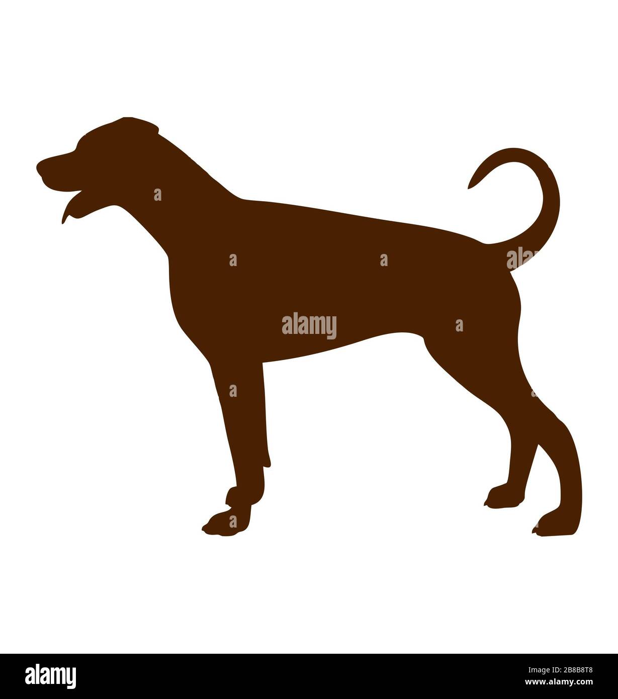 silhouette dobermann vector Stock Photo