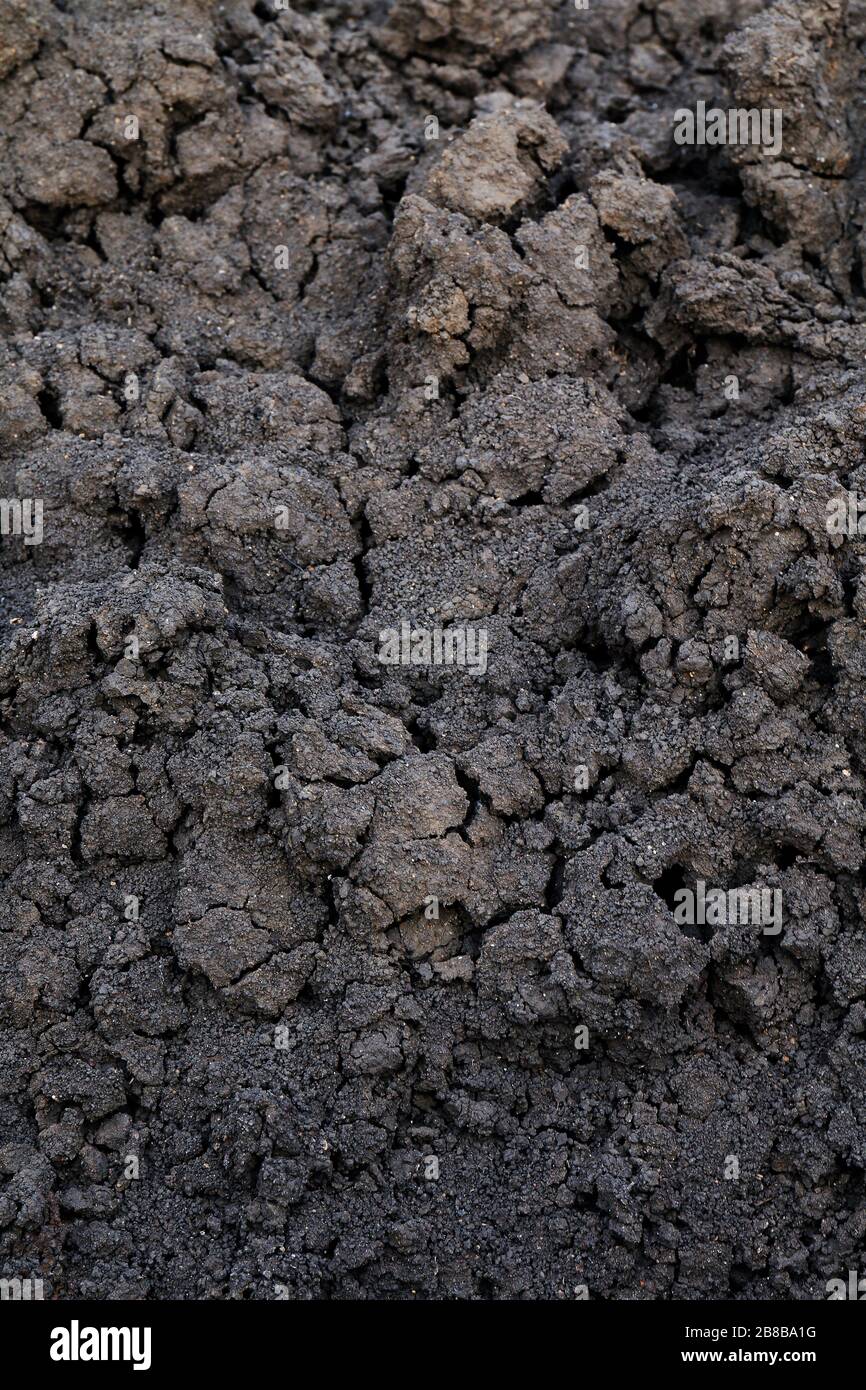 Background of soil humus, Black clay soil texture, Soil organic for planting Stock Photo